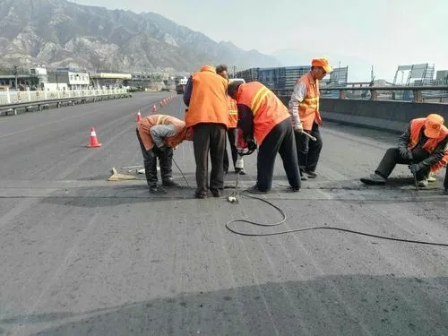 运粮湖管理区道路桥梁病害治理